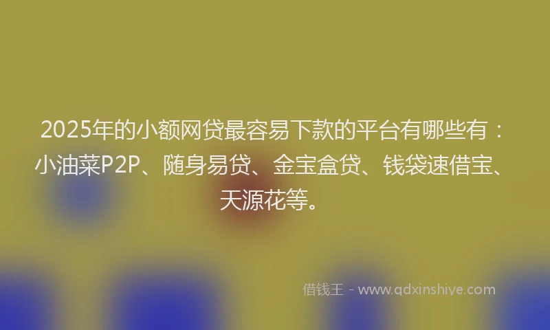 2025年的小额网贷最容易下款的平台有哪些有：小油菜P2P、随身易贷、金宝盒贷、钱袋速借宝、天源花等。