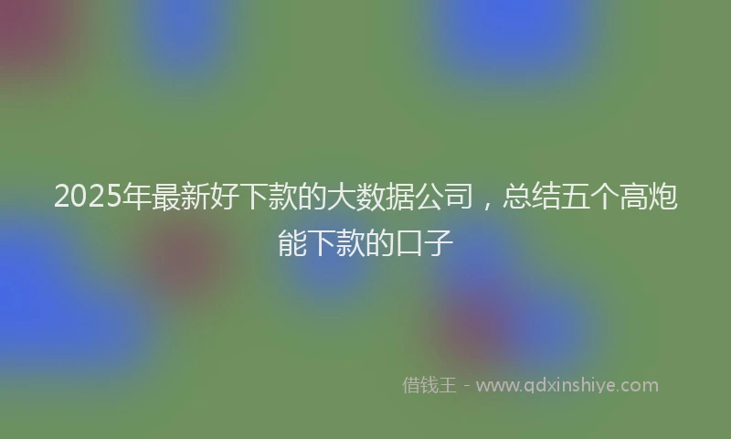 2025年最新好下款的大数据公司，总结五个高炮能下款的口子