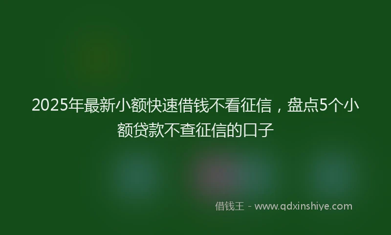 2025年最新小额快速借钱不看征信，盘点5个小额贷款不查征信的口子