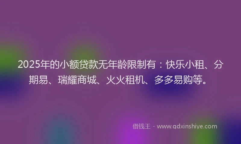2025年的小额贷款无年龄限制有：快乐小租、分期易、瑞耀商城、火火租机、多多易购等。