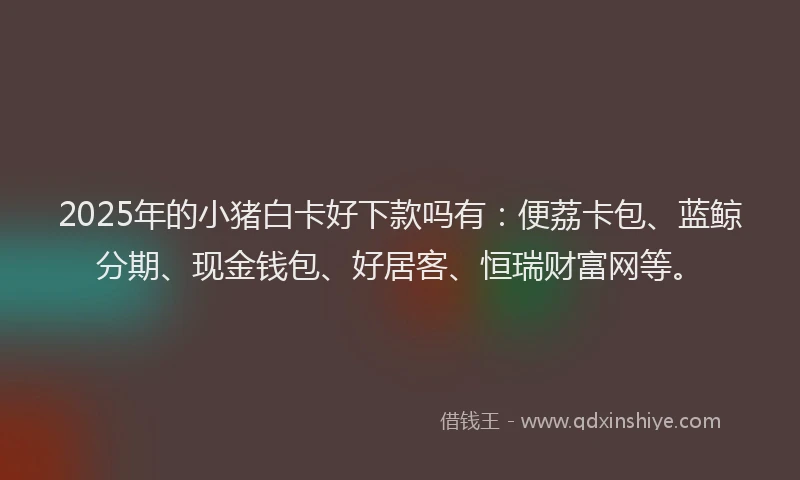 2025年的小猪白卡好下款吗有：便荔卡包、蓝鲸分期、现金钱包、好居客、恒瑞财富网等。