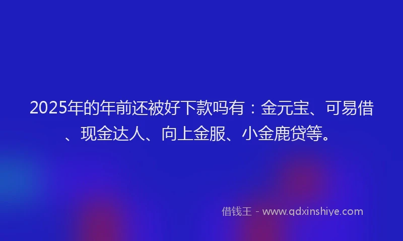 2025年的年前还被好下款吗有：金元宝、可易借、现金达人、向上金服、小金鹿贷等。