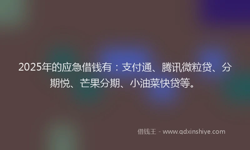 2025年的应急借钱有：支付通、腾讯微粒贷、分期悦、芒果分期、小油菜快贷等。