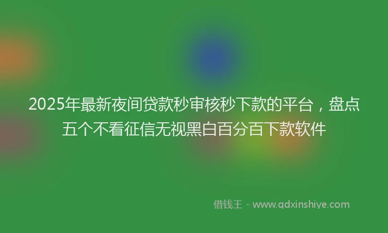 2025年最新夜间贷款秒审核秒下款的平台，盘点五个不看征信无视黑白百分百下款软件