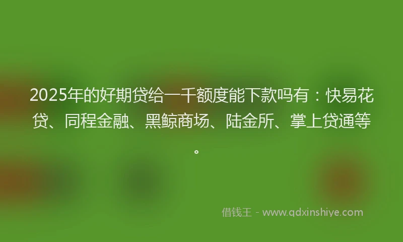 2025年的好期贷给一千额度能下款吗有：快易花贷、同程金融、黑鲸商场、陆金所、掌上贷通等。