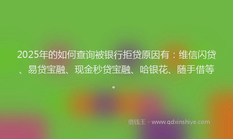 2025年的如何查询被银行拒贷原因有：维信闪贷、易贷宝融、现金秒贷宝融、哈银花、随手借等。