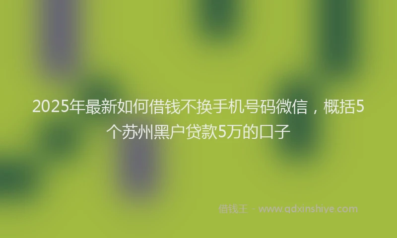2025年最新如何借钱不换手机号码微信，概括5个苏州黑户贷款5万的口子