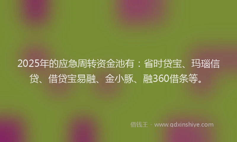 2025年的应急周转资金池有：省时贷宝、玛瑙信贷、借贷宝易融、金小豚、融360借条等。