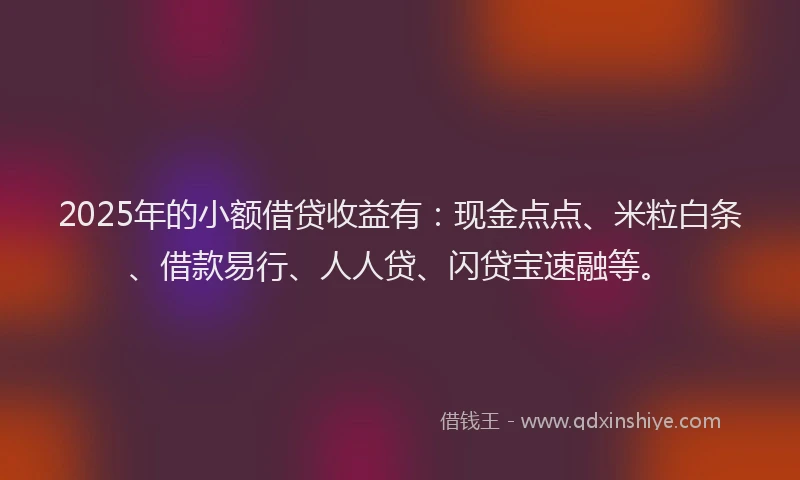 2025年的小额借贷收益有：现金点点、米粒白条、借款易行、人人贷、闪贷宝速融等。