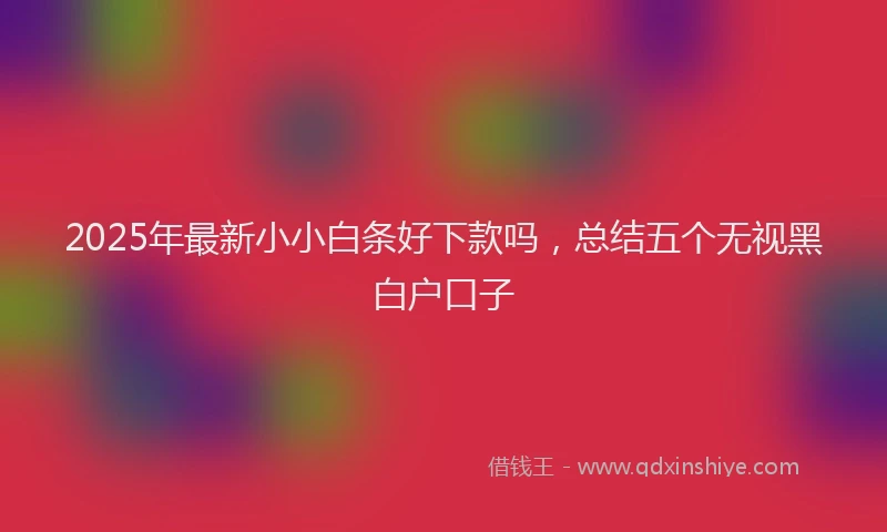 2025年最新小小白条好下款吗，总结五个无视黑白户口子