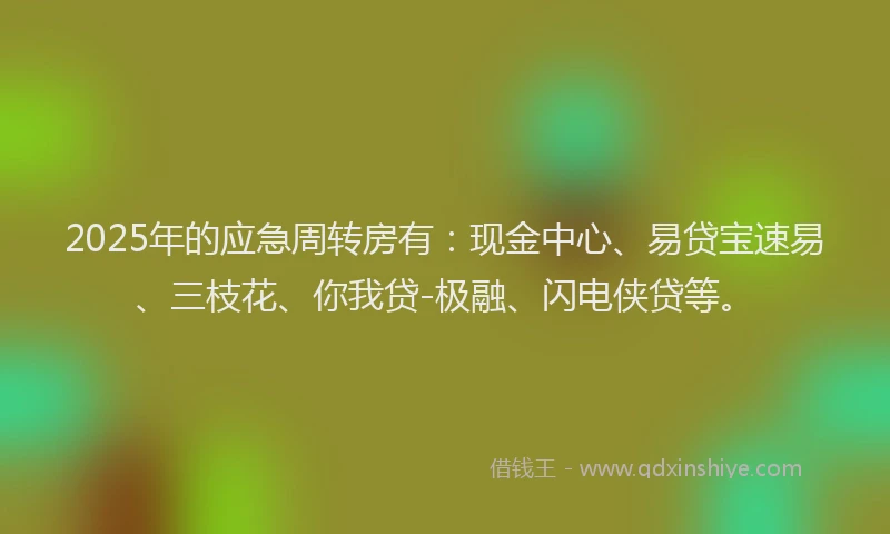 2025年的应急周转房有：现金中心、易贷宝速易、三枝花、你我贷-极融、闪电侠贷等。
