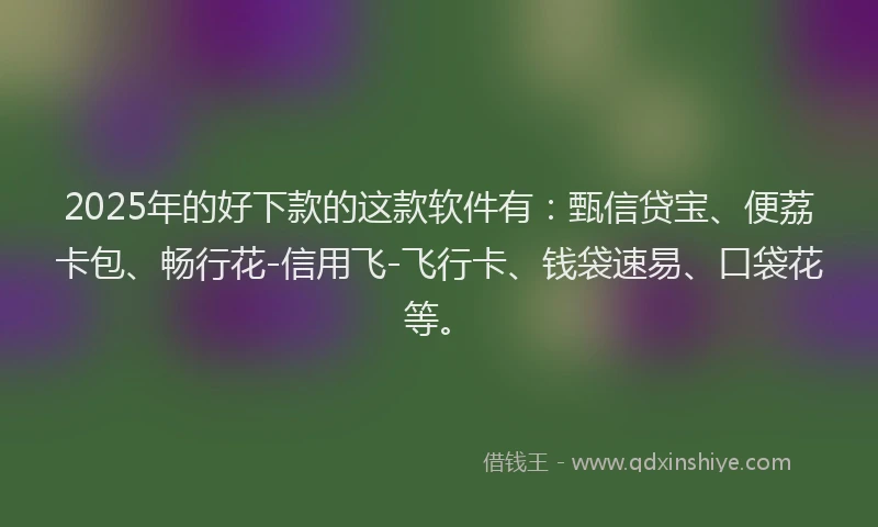 2025年的好下款的这款软件有：甄信贷宝、便荔卡包、畅行花-信用飞-飞行卡、钱袋速易、口袋花等。