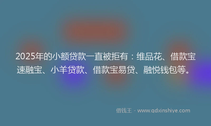 2025年的小额贷款一直被拒有：维品花、借款宝速融宝、小羊贷款、借款宝易贷、融悦钱包等。