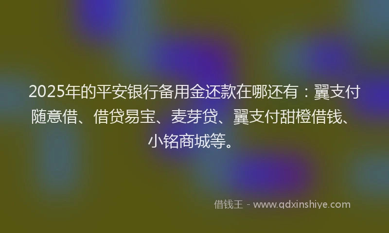 2025年的平安银行备用金还款在哪还有：翼支付随意借、借贷易宝、麦芽贷、翼支付甜橙借钱、小铭商城等。