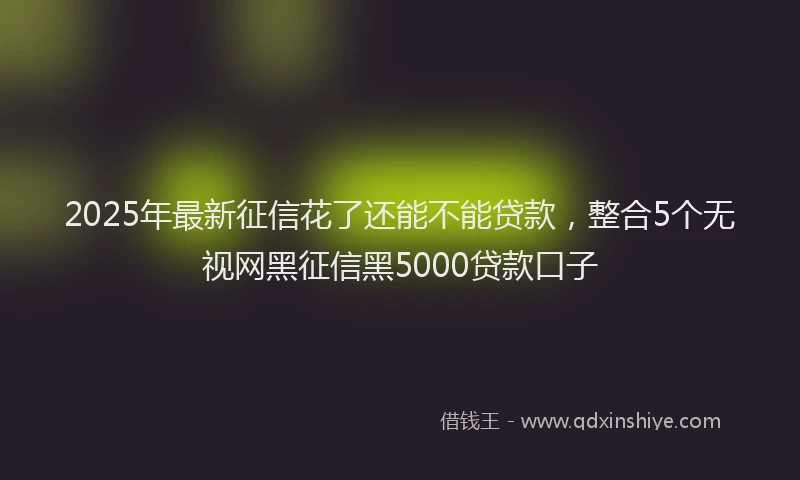 2025年最新征信花了还能不能贷款，整合5个无视网黑征信黑5000贷款口子