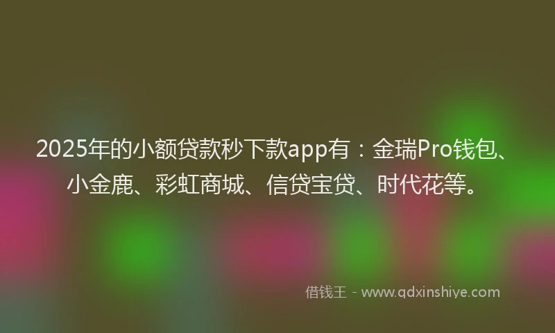 2025年的小额贷款秒下款app有：金瑞Pro钱包、小金鹿、彩虹商城、信贷宝贷、时代花等。