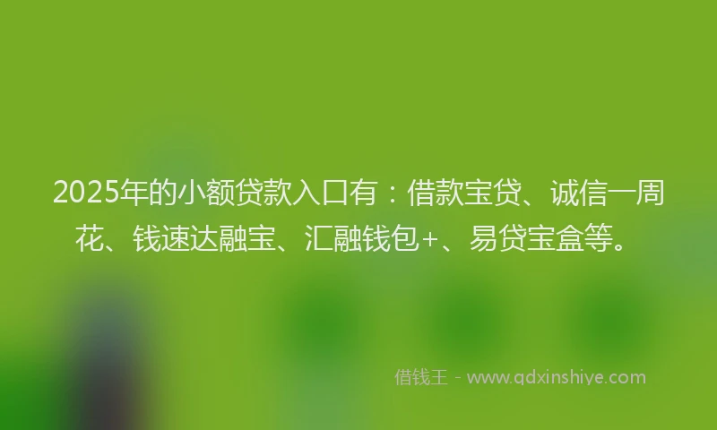 2025年的小额贷款入口有：借款宝贷、诚信一周花、钱速达融宝、汇融钱包+、易贷宝盒等。