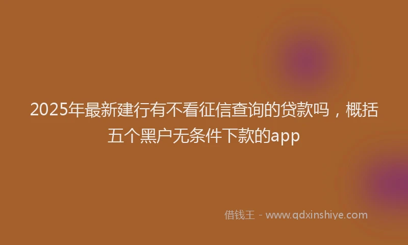 2025年最新建行有不看征信查询的贷款吗，概括五个黑户无条件下款的app