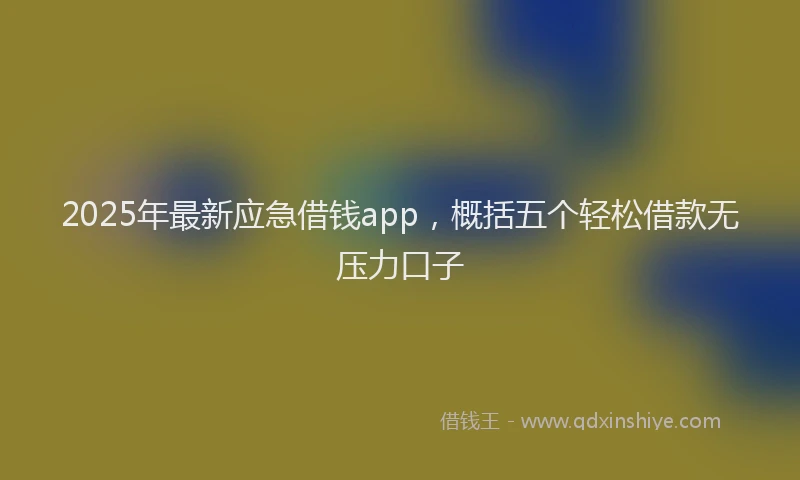 2025年最新应急借钱app，概括五个轻松借款无压力口子