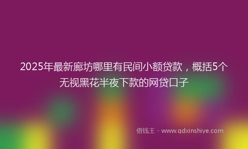 2025年最新廊坊哪里有民间小额贷款，概括5个无视黑花半夜下款的网贷口子
