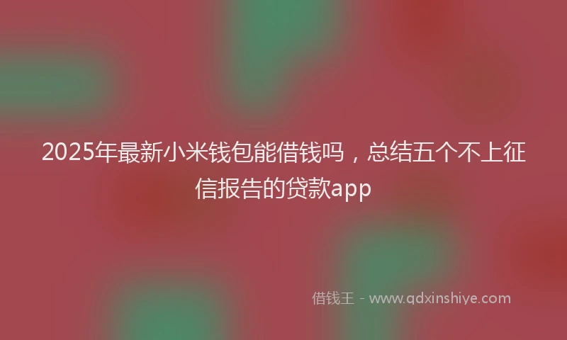 2025年最新小米钱包能借钱吗，总结五个不上征信报告的贷款app