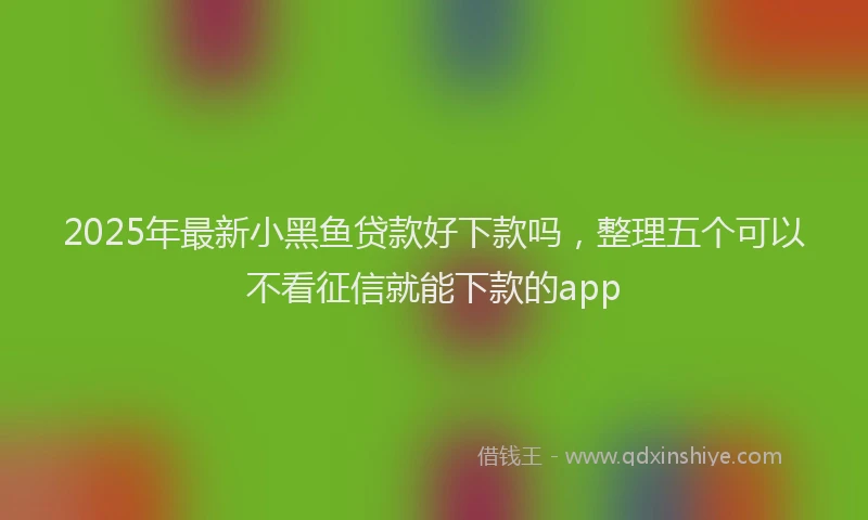 2025年最新小黑鱼贷款好下款吗，整理五个可以不看征信就能下款的app