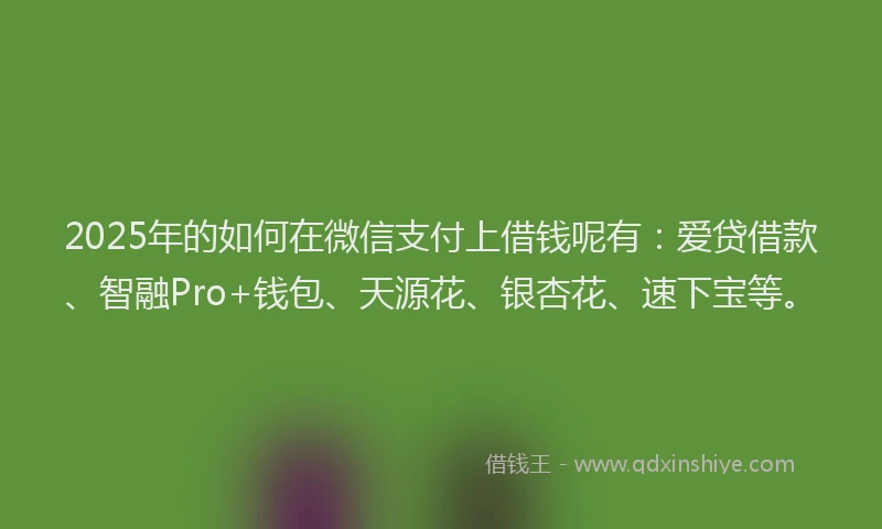 2025年的如何在微信支付上借钱呢有：爱贷借款、智融Pro+钱包、天源花、银杏花、速下宝等。