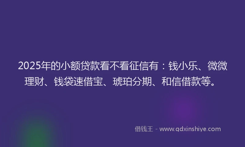 2025年的小额贷款看不看征信有：钱小乐、微微理财、钱袋速借宝、琥珀分期、和信借款等。