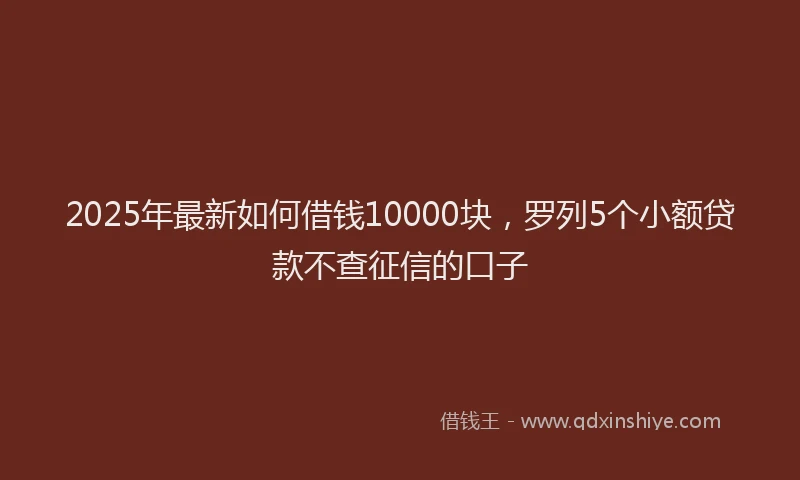 2025年最新如何借钱10000块，罗列5个小额贷款不查征信的口子