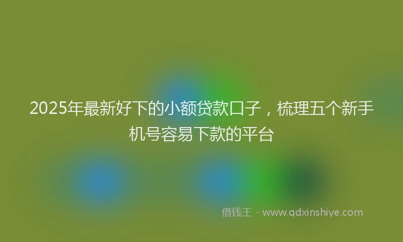 2025年最新好下的小额贷款口子，梳理五个新手机号容易下款的平台