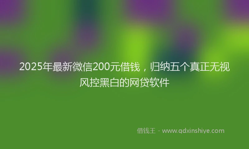 2025年最新微信200元借钱，归纳五个真正无视风控黑白的网贷软件