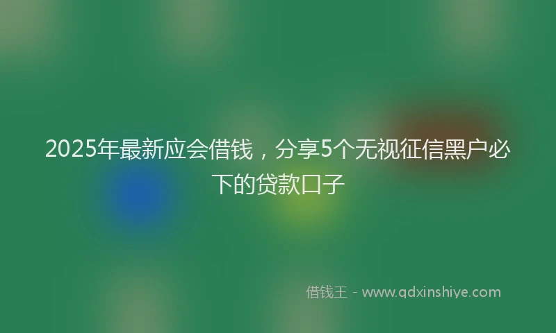 2025年最新应会借钱，分享5个无视征信黑户必下的贷款口子