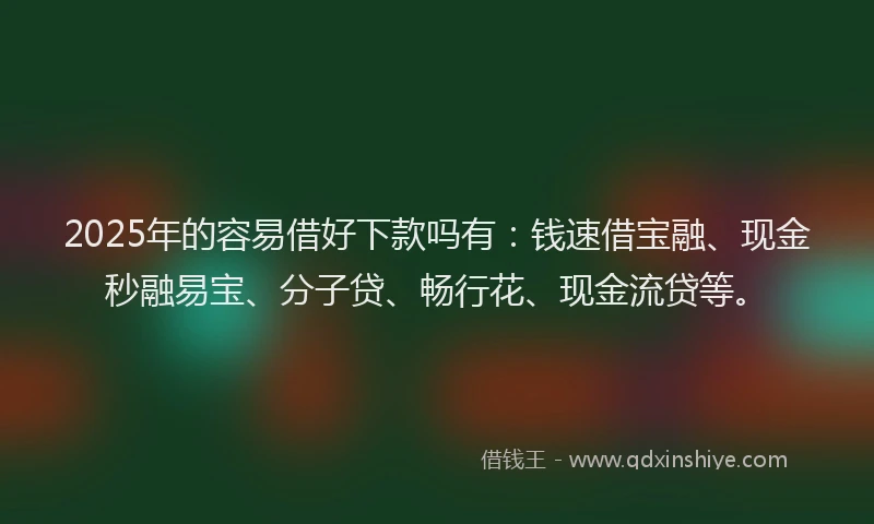 2025年的容易借好下款吗有：钱速借宝融、现金秒融易宝、分子贷、畅行花、现金流贷等。