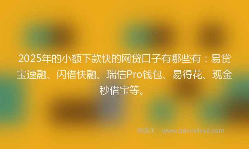 2025年的小额下款快的网贷口子有哪些有：易贷宝速融、闪借快融、瑞信Pro钱包、易得花、现金秒借宝等。