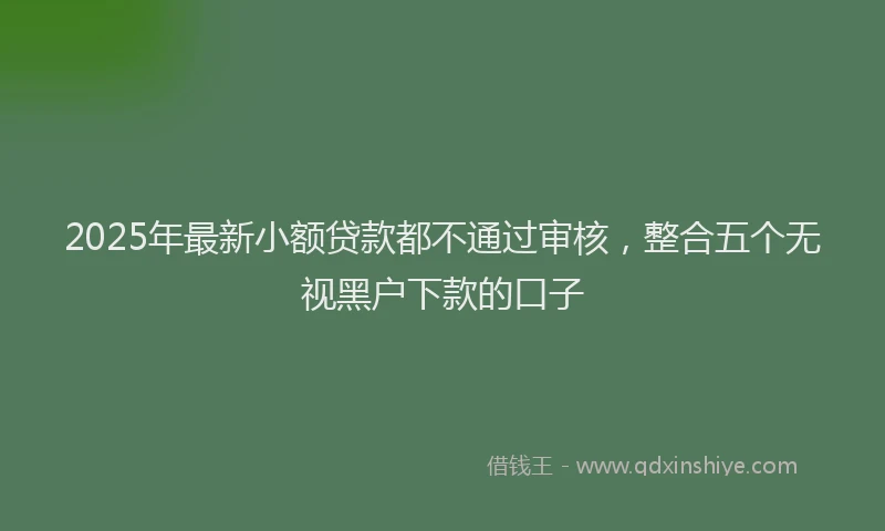 2025年最新小额贷款都不通过审核，整合五个无视黑户下款的口子