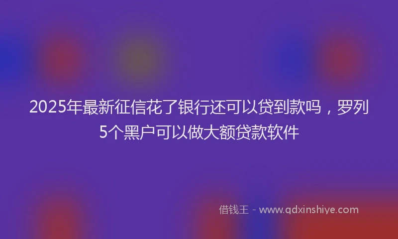2025年最新征信花了银行还可以贷到款吗，罗列5个黑户可以做大额贷款软件