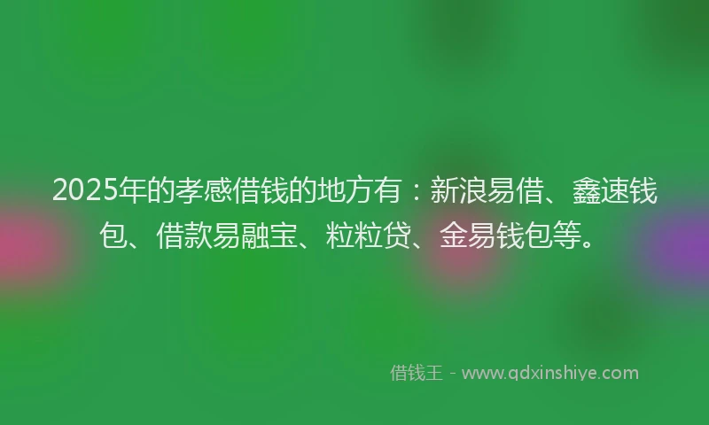 2025年的孝感借钱的地方有：新浪易借、鑫速钱包、借款易融宝、粒粒贷、金易钱包等。