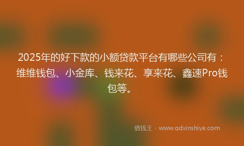 2025年的好下款的小额贷款平台有哪些公司有：维维钱包、小金库、钱来花、享来花、鑫速Pro钱包等。
