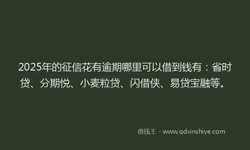 2025年的征信花有逾期哪里可以借到钱有：省时贷、分期悦、小麦粒贷、闪借侠、易贷宝融等。