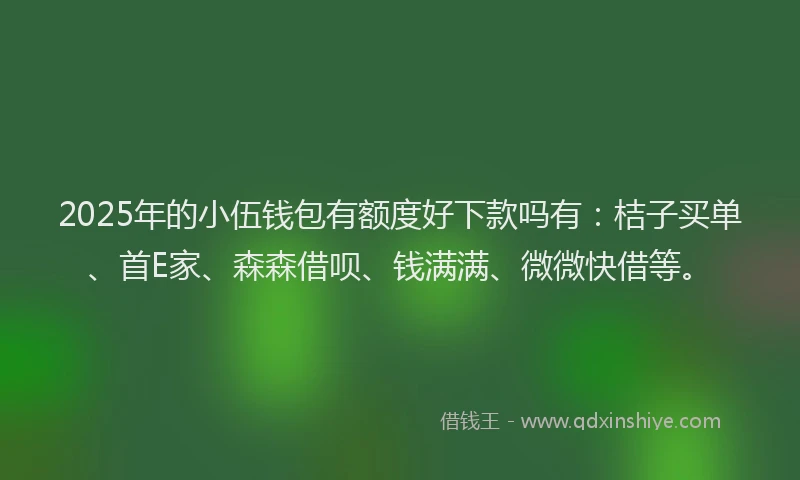 2025年的小伍钱包有额度好下款吗有：桔子买单、首E家、森森借呗、钱满满、微微快借等。