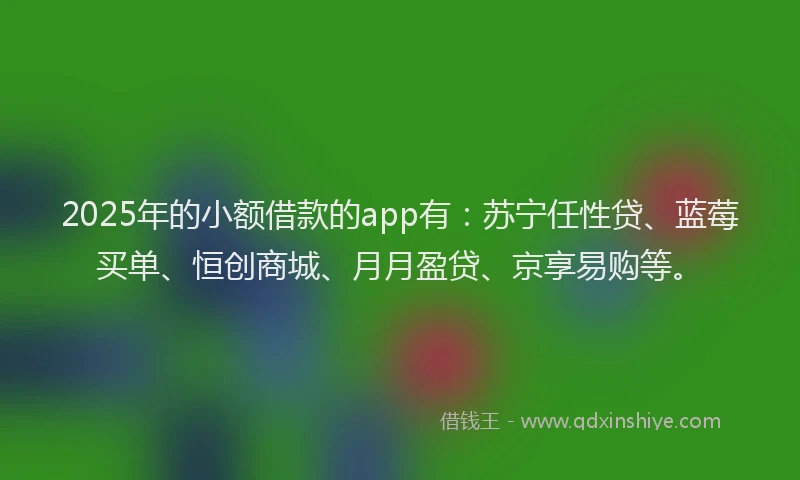 2025年的小额借款的app有：苏宁任性贷、蓝莓买单、恒创商城、月月盈贷、京享易购等。