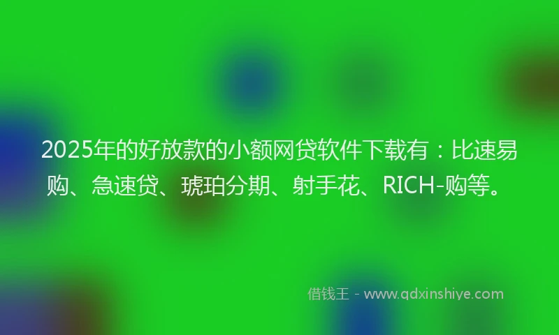2025年的好放款的小额网贷软件下载有：比速易购、急速贷、琥珀分期、射手花、RICH-购等。