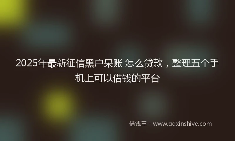 2025年最新征信黑户呆账 怎么贷款，整理五个手机上可以借钱的平台