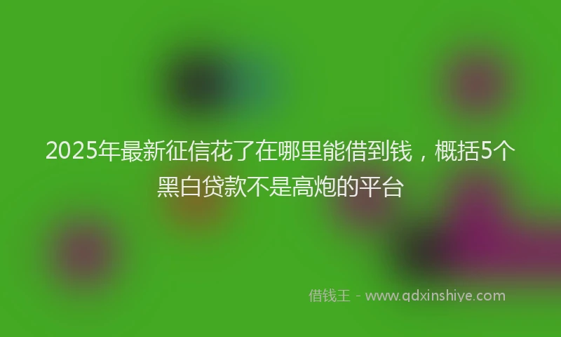 2025年最新征信花了在哪里能借到钱，概括5个黑白贷款不是高炮的平台