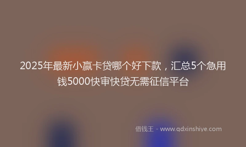 2025年最新小赢卡贷哪个好下款，汇总5个急用钱5000快审快贷无需征信平台