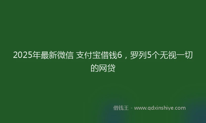 2025年最新微信 支付宝借钱6，罗列5个无视一切的网贷