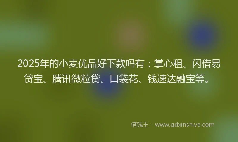 2025年的小麦优品好下款吗有：掌心租、闪借易贷宝、腾讯微粒贷、口袋花、钱速达融宝等。