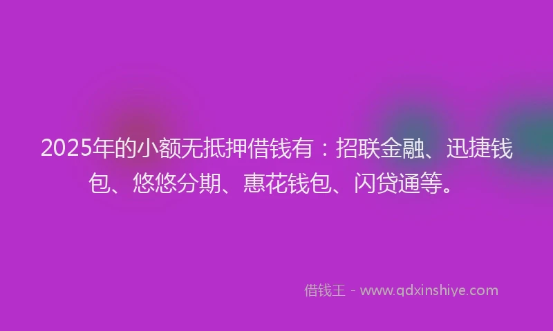 2025年的小额无抵押借钱有：招联金融、迅捷钱包、悠悠分期、惠花钱包、闪贷通等。