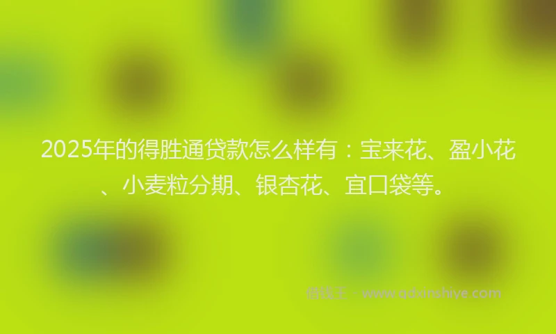 2025年的得胜通贷款怎么样有：宝来花、盈小花、小麦粒分期、银杏花、宜口袋等。