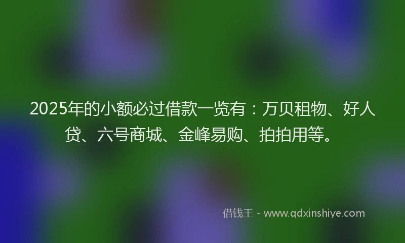 2025年的小额必过借款一览有：万贝租物、好人贷、六号商城、金峰易购、拍拍用等。